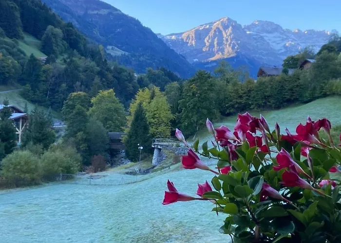 - La Vieze Thermes Park Val d'Illiez